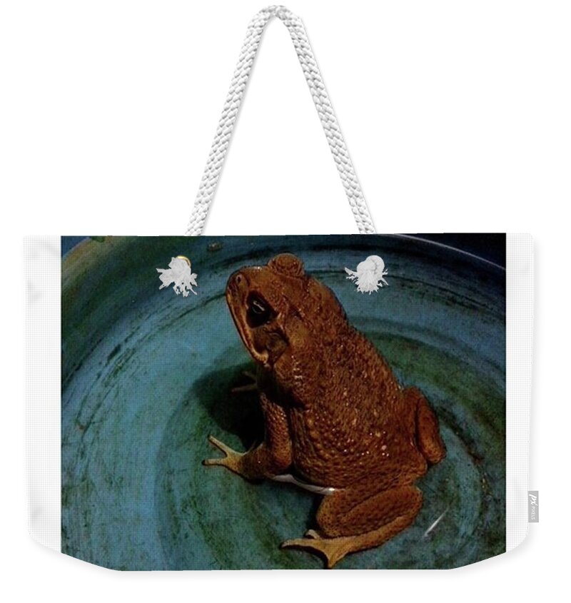 Life Weekender Tote Bag featuring the photograph The Patient by David Cardona