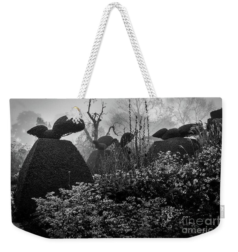 Plants Weekender Tote Bag featuring the photograph The Peacock Garden, Great Dixter by Perry Rodriguez