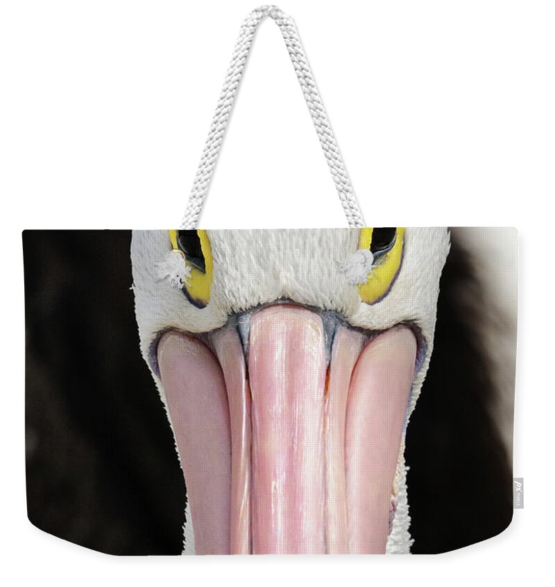 Bird Weekender Tote Bag featuring the photograph The Pelican Stare by Werner Padarin