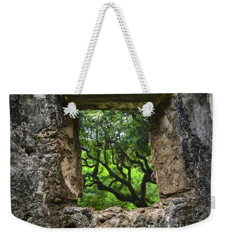 The Summer Home Weekender Tote Bag featuring the photograph The Picture In The Window by Mitch Shindelbower