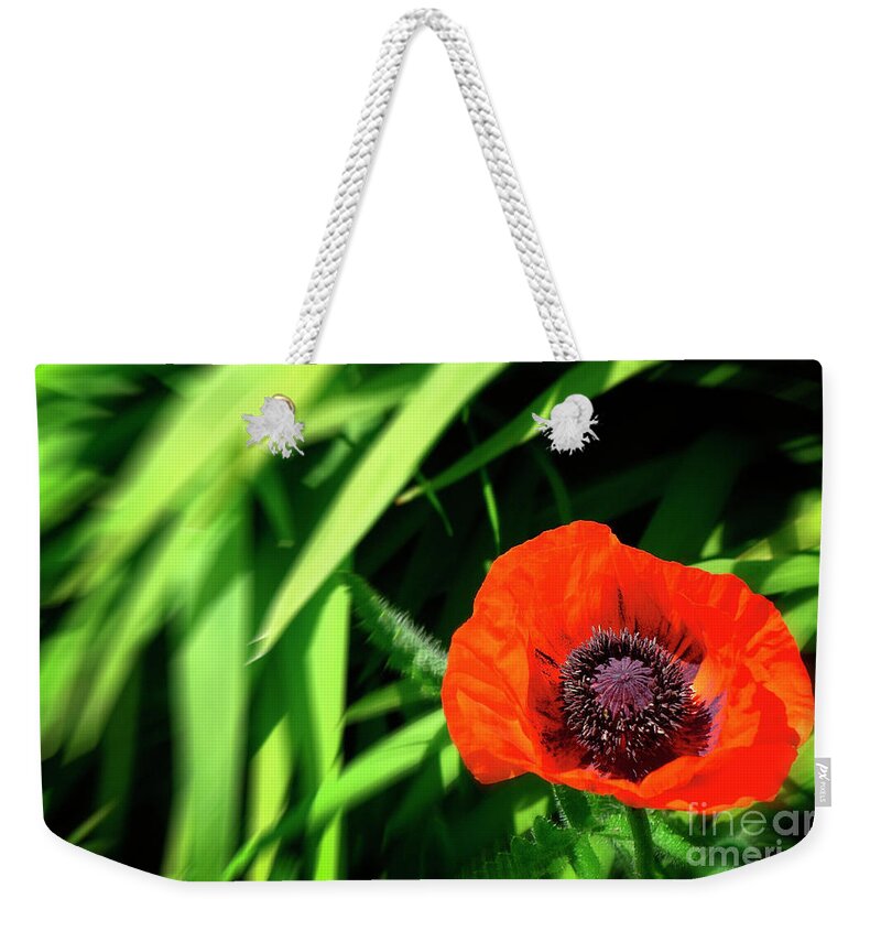 Nag004569 Weekender Tote Bag featuring the photograph The Poppy by Edmund Nagele FRPS