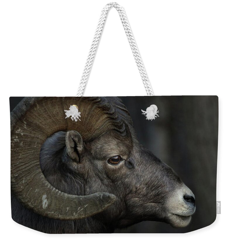 The Weekender Tote Bag featuring the photograph The Profile by Brian Gustafson