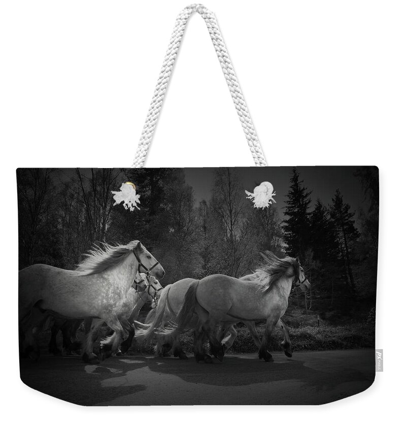 Horse Weekender Tote Bag featuring the photograph The Queen's Horses by Dorit Fuhg
