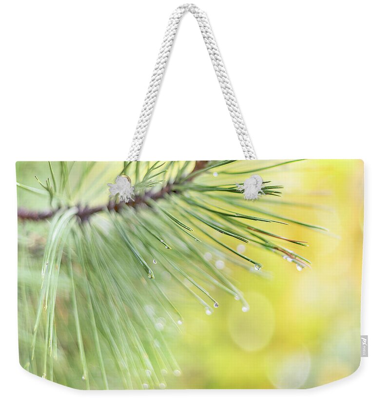 Rain; Park; Pine; Fresh; John Poon; Yellow; Happy; Smile; Raindrop; Pine Needle; High Key; Bokeh; Autumn; October; November Weekender Tote Bag featuring the photograph The Rain the Park and Other Things by John Poon