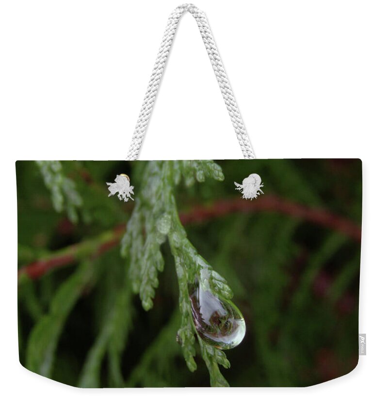 Raindrop Weekender Tote Bag featuring the photograph The Raindrop 2 by Kim Tran