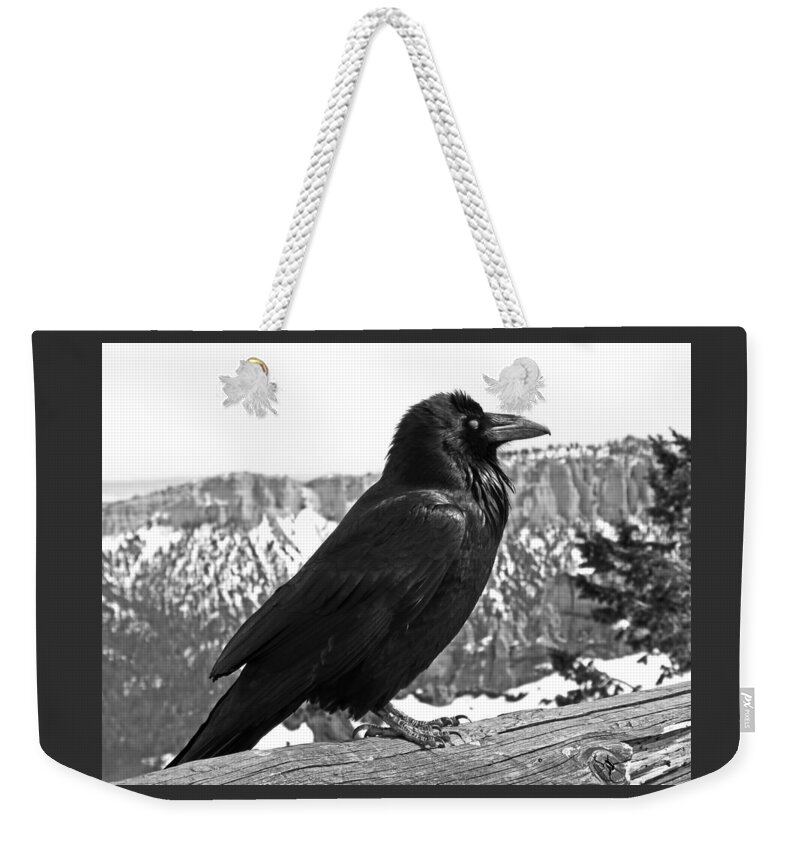 Black And White Weekender Tote Bag featuring the photograph The Raven - Black and White by Rona Black