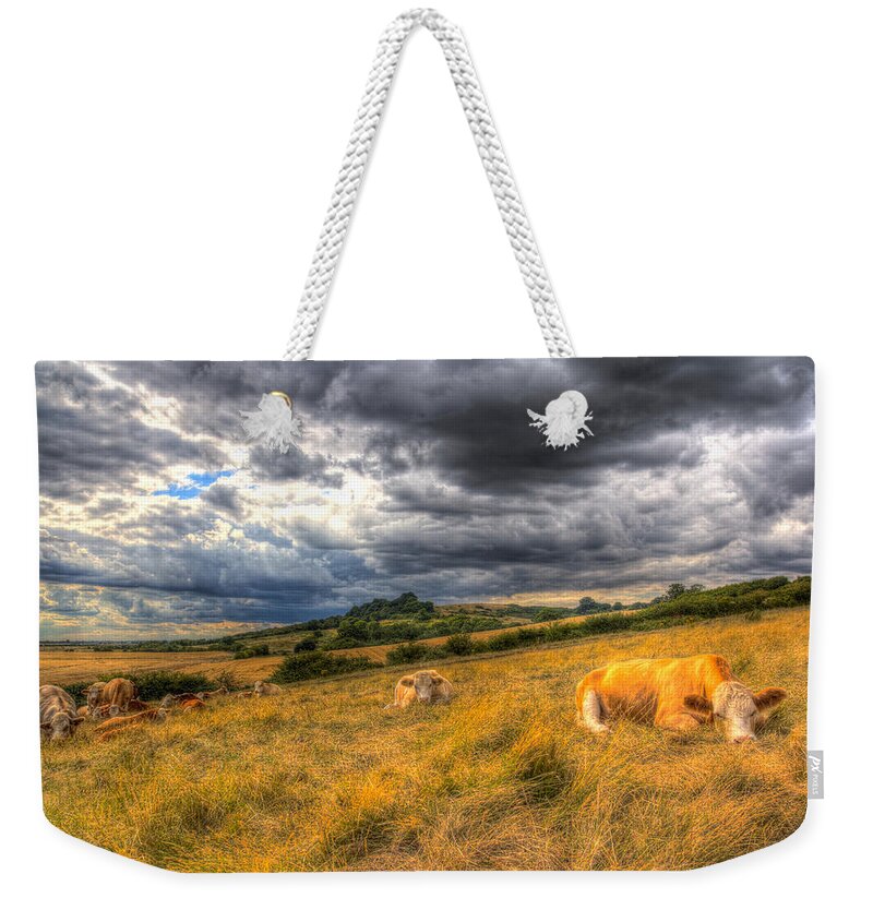 Cows Weekender Tote Bag featuring the photograph The Resting Cows by David Pyatt