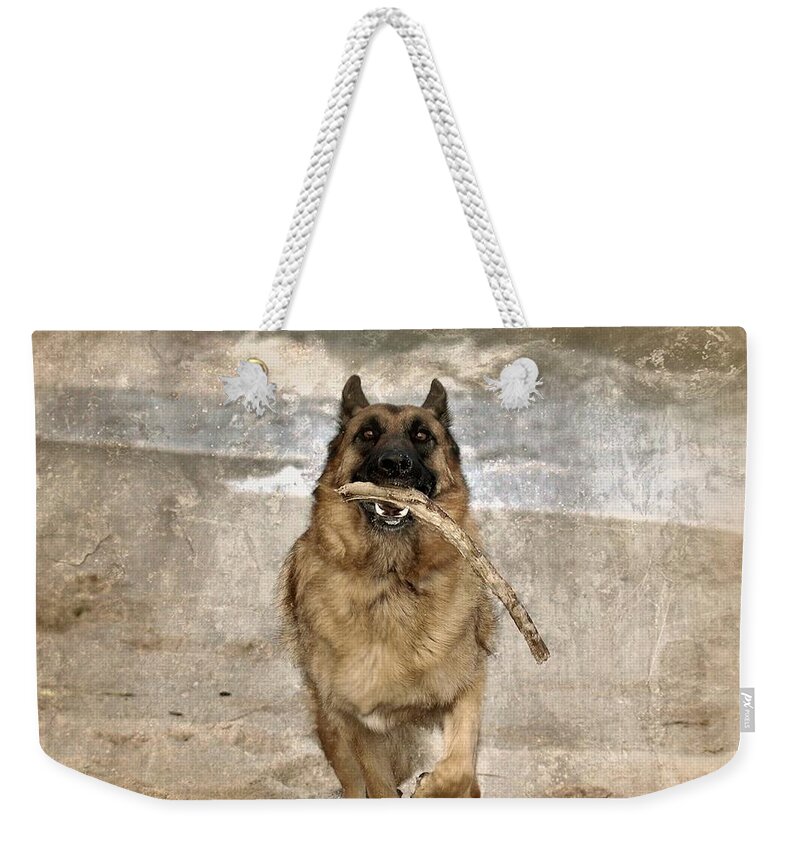 German Shepherd Dogs Weekender Tote Bag featuring the photograph The Retrieve by Angie Tirado
