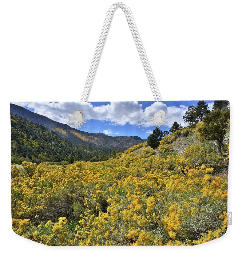 Nevada Weekender Tote Bag featuring the photograph The Road to Mt. Charleston by Ray Mathis