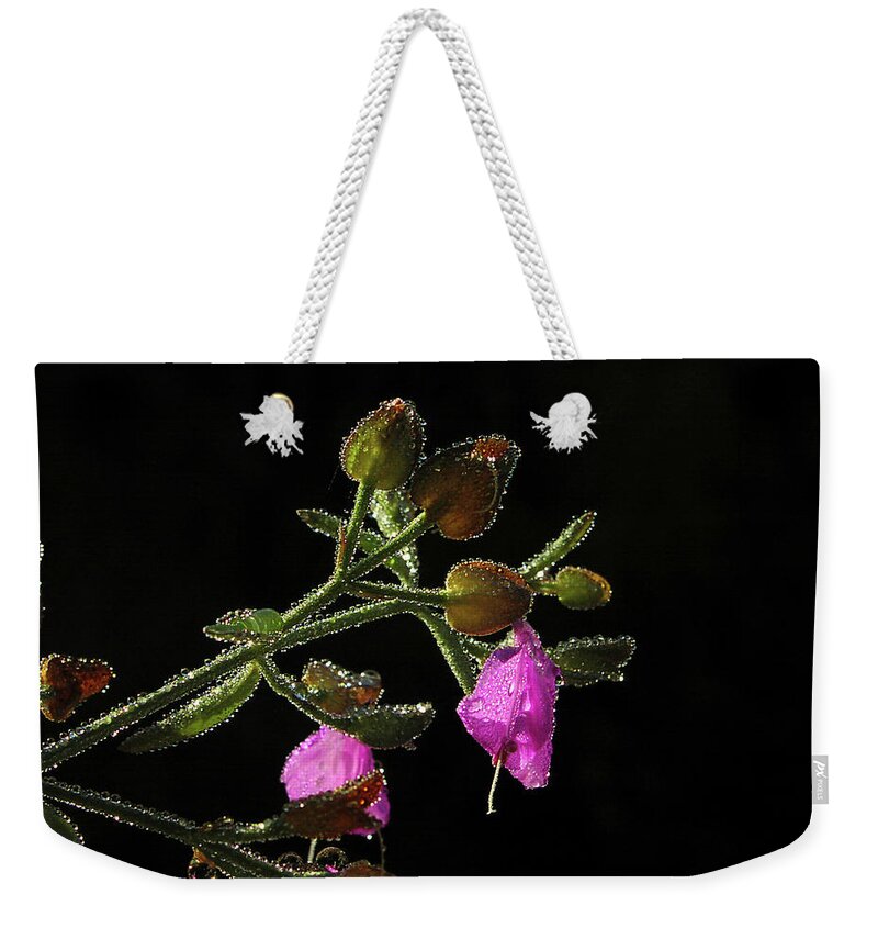 Arizona Weekender Tote Bag featuring the photograph The Scent Of Water by Steven Myers