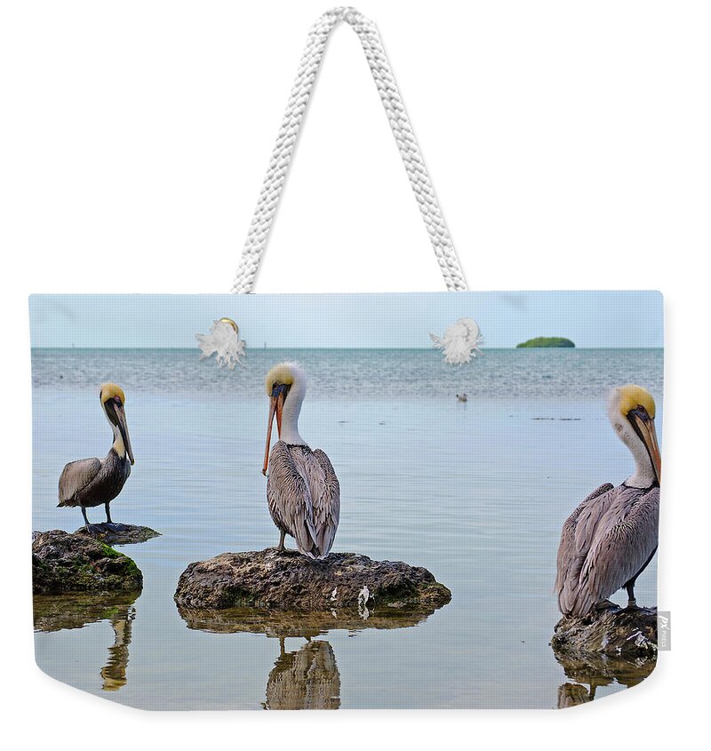 Wildlife Weekender Tote Bag featuring the photograph The Sentinels by Kenneth Albin