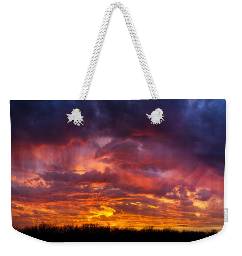 Landscape Weekender Tote Bag featuring the photograph The Sentinel's Surprise by Jeff Phillippi