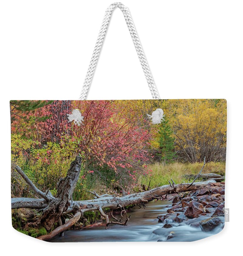 Fall Weekender Tote Bag featuring the photograph The Sierra Autumn by Jonathan Nguyen