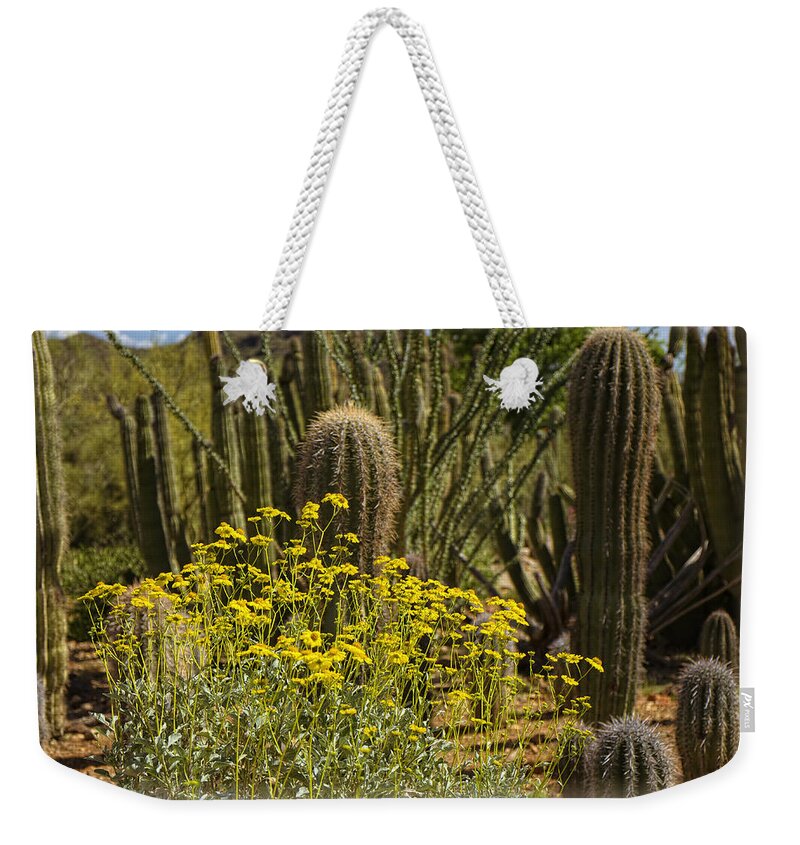 Flowers Weekender Tote Bag featuring the photograph The Song Of The Sonoran Desert by Lucinda Walter