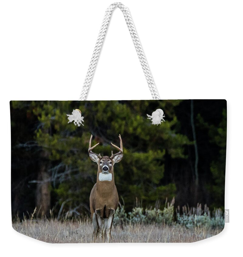 Deer Weekender Tote Bag featuring the photograph The Stag From The Forest by Yeates Photography