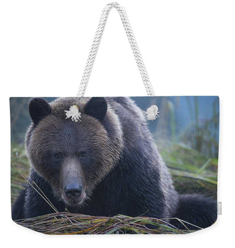 Bear Weekender Tote Bag featuring the photograph The Stare Down by Bill Cubitt