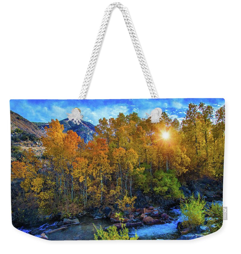Autumn Weekender Tote Bag featuring the photograph The Stars of Autumn by Lynn Bauer