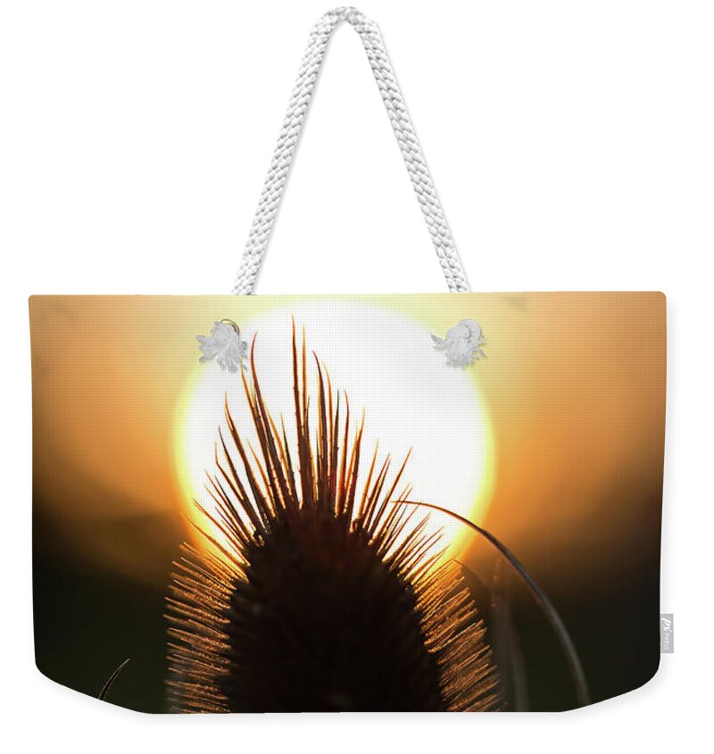 Sunset Weekender Tote Bag featuring the photograph The Sun Sets Upon Summer by Dale Kincaid