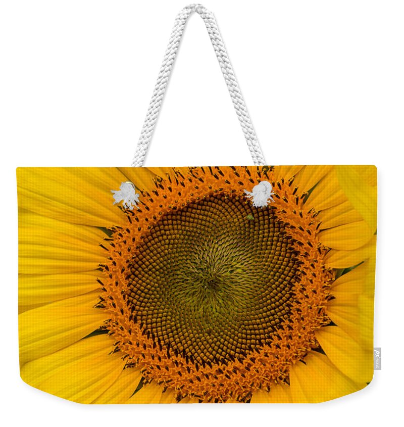 The Sunflower Weekender Tote Bag featuring the photograph The Sunflower by Dale Kincaid