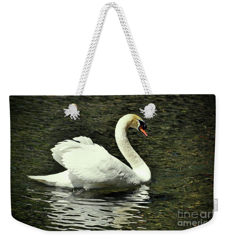 Swan Weekender Tote Bag featuring the photograph The Swan of Lake Susan by Lydia Holly