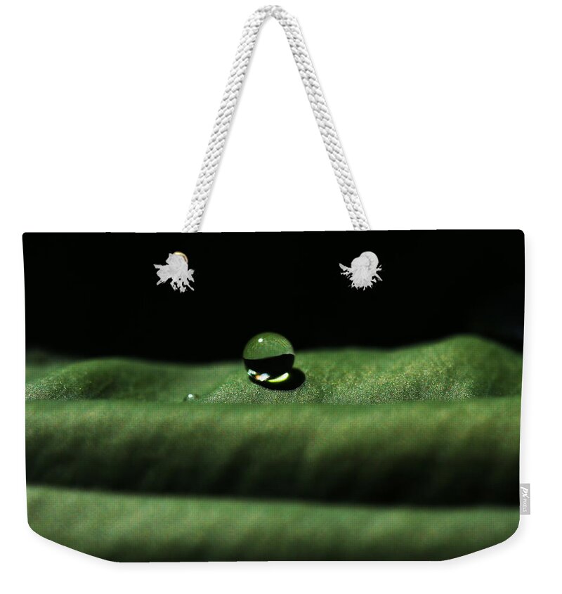 Connie Handscomb Weekender Tote Bag featuring the photograph The Tao Of Raindrop by Connie Handscomb