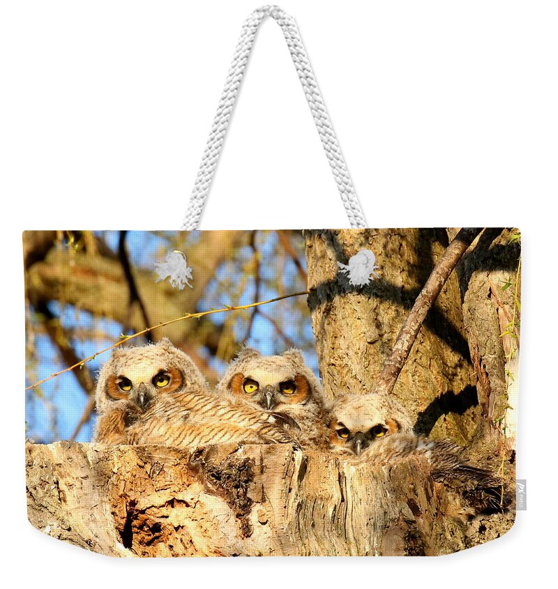 Oneness Weekender Tote Bag featuring the photograph The three musketeers by Heather King