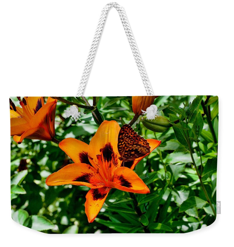 Nature Weekender Tote Bag featuring the photograph The Tiger and the Butterfly by Mike Smale