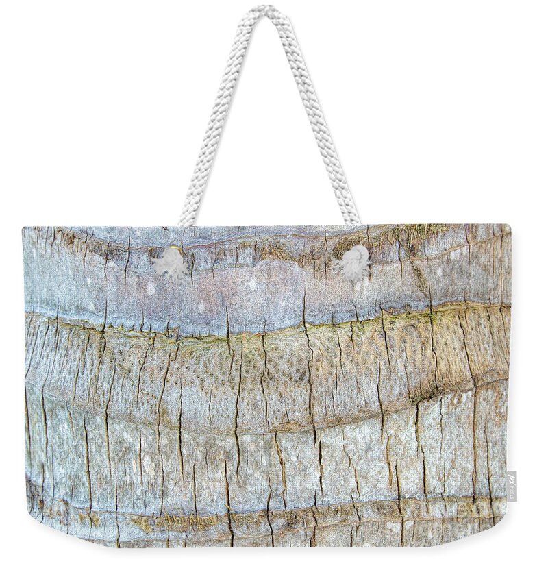 Bark Weekender Tote Bag featuring the photograph The Tired Pilgrim by Marilyn Cornwell