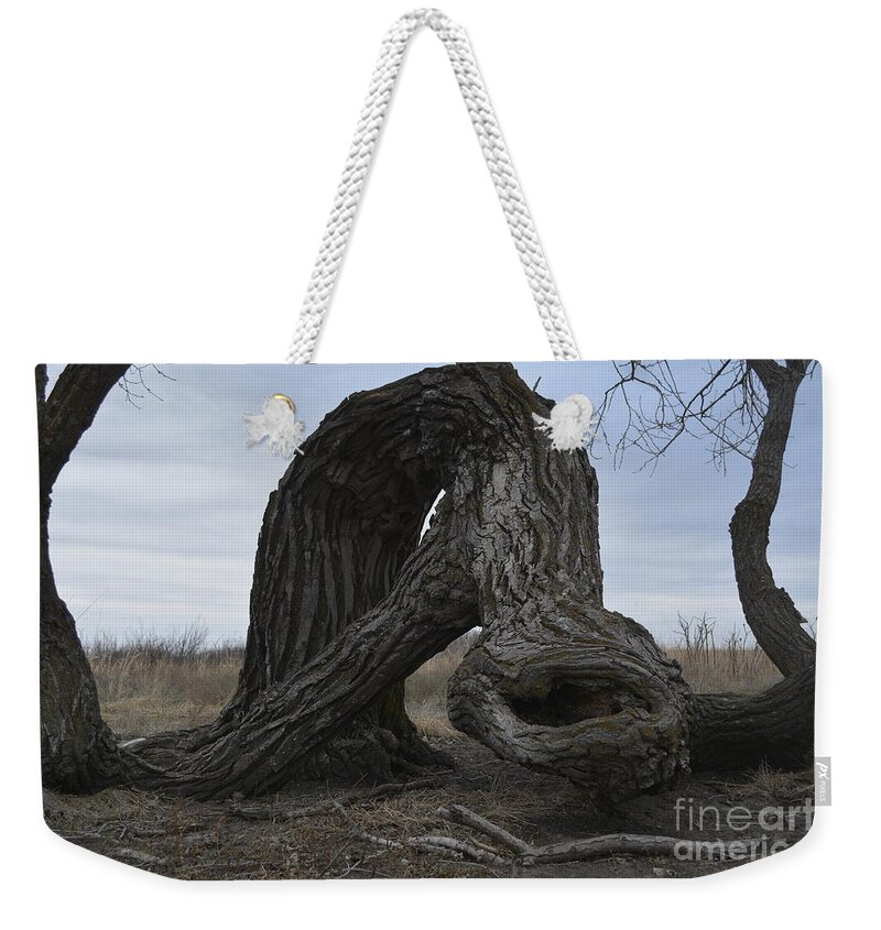 Trees Weekender Tote Bag featuring the photograph The Tree Creature by Audie Thornburg