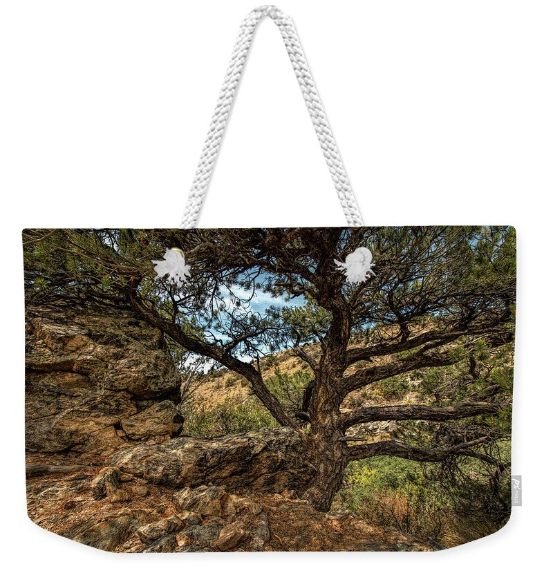 Landscape Weekender Tote Bag featuring the photograph The Tree by Michael McKenney