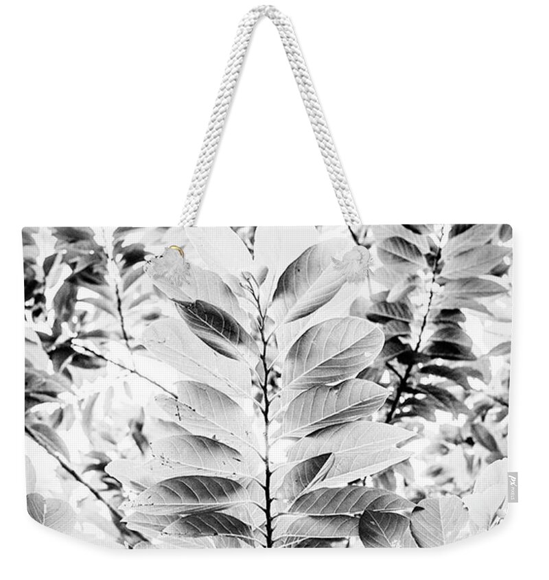 Life Weekender Tote Bag featuring the photograph The Tree Of Life by Aleck Cartwright
