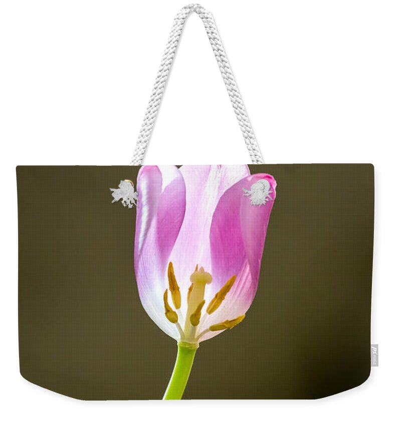 Flower Weekender Tote Bag featuring the photograph The Tulip's Heart by Charles Hite