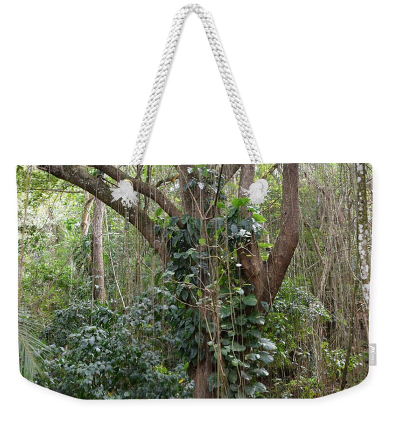 Vines Weekender Tote Bag featuring the photograph The Vines by Gary Smith