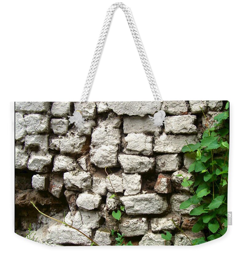 Botanical Weekender Tote Bag featuring the photograph The Wall by Joan Minchak