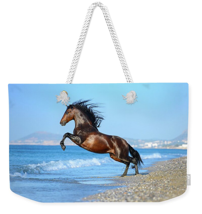 Russian Artists New Wave Weekender Tote Bag featuring the photograph The Wave. Andalusian Horse by Ekaterina Druz