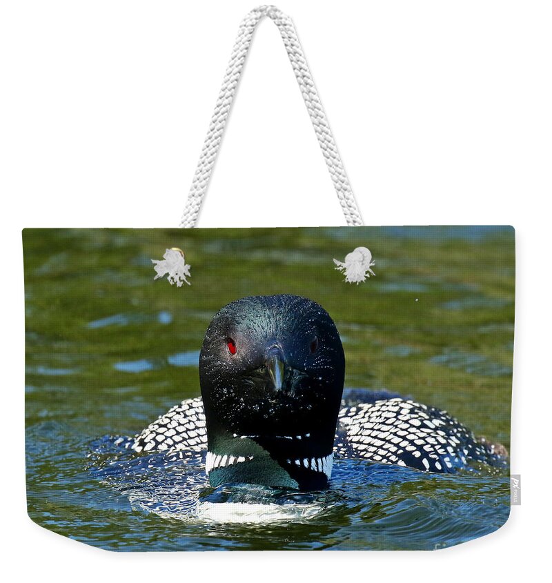 Loon Weekender Tote Bag featuring the photograph The Wet Look by Heather King