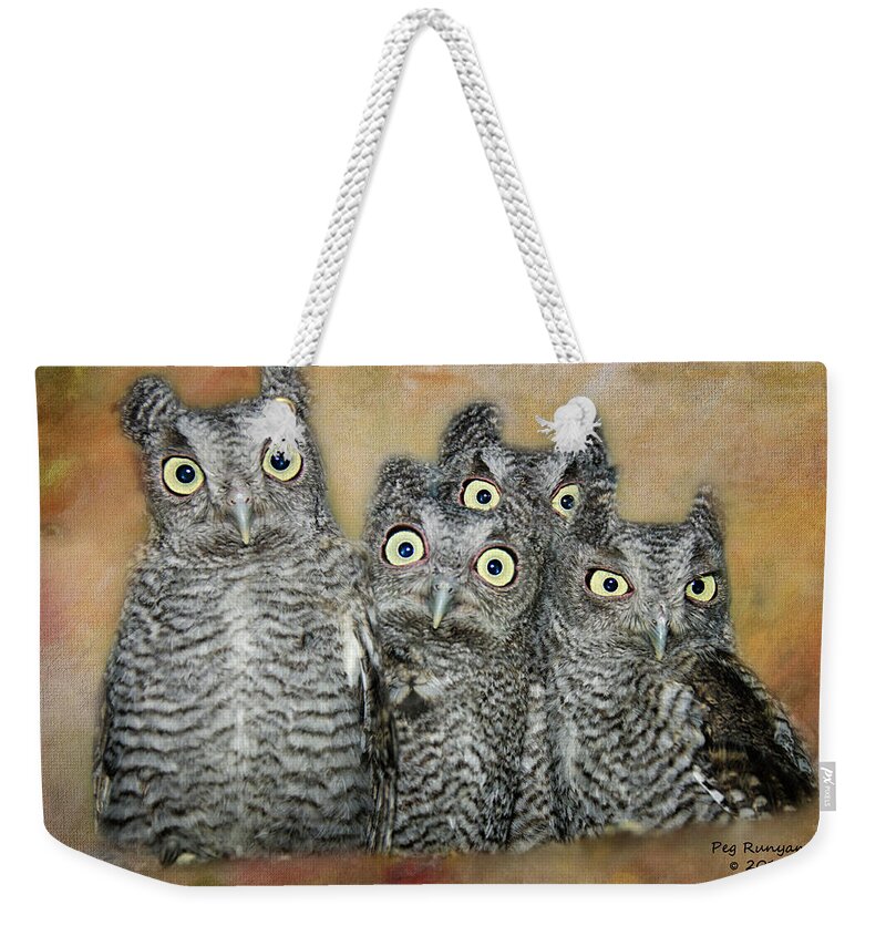 Screech Owls Weekender Tote Bag featuring the photograph The Who by Peg Runyan