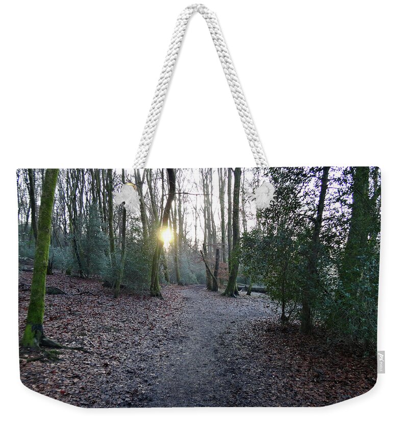 Nature Weekender Tote Bag featuring the photograph The Woods in Winter by Richard Denyer