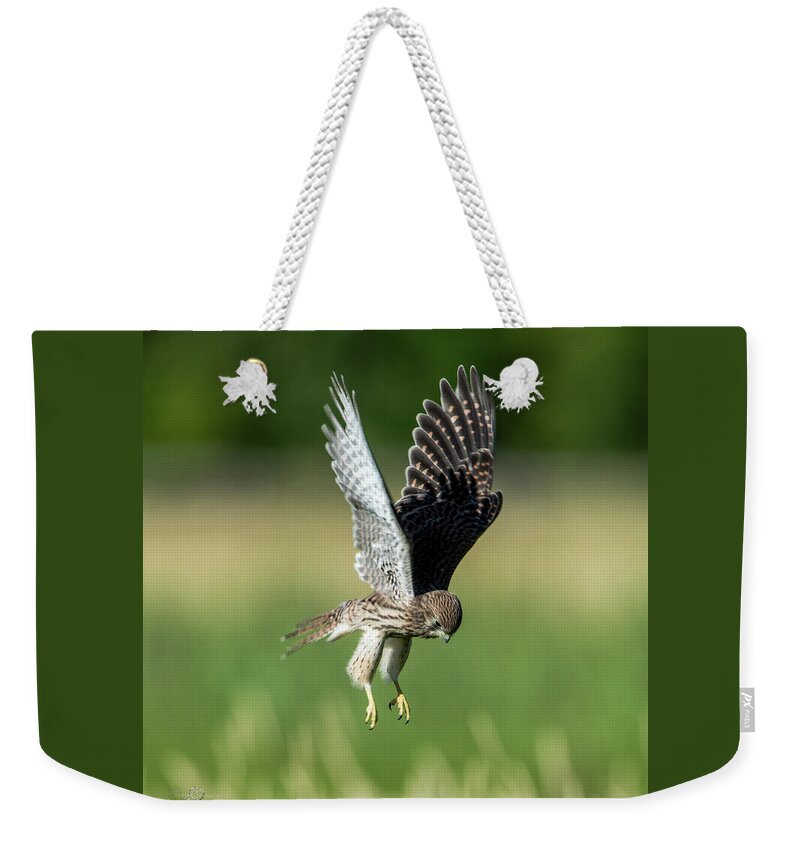 European Kestrel Weekender Tote Bag featuring the photograph The young hovering kestrel by Torbjorn Swenelius