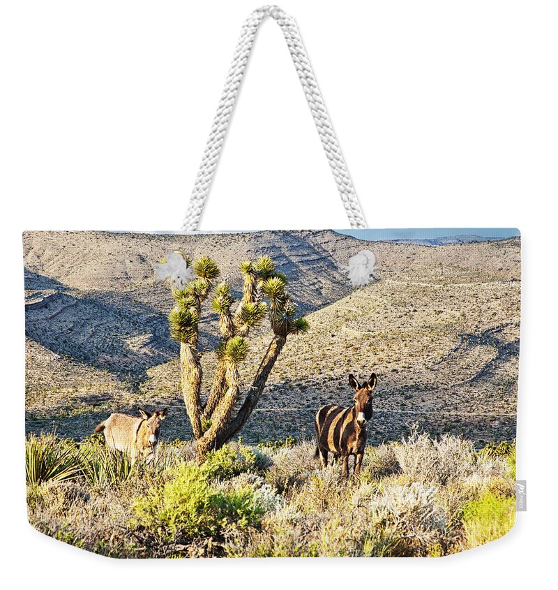 Donkeys Weekender Tote Bag featuring the photograph The Zebra Burro by Tatiana Travelways