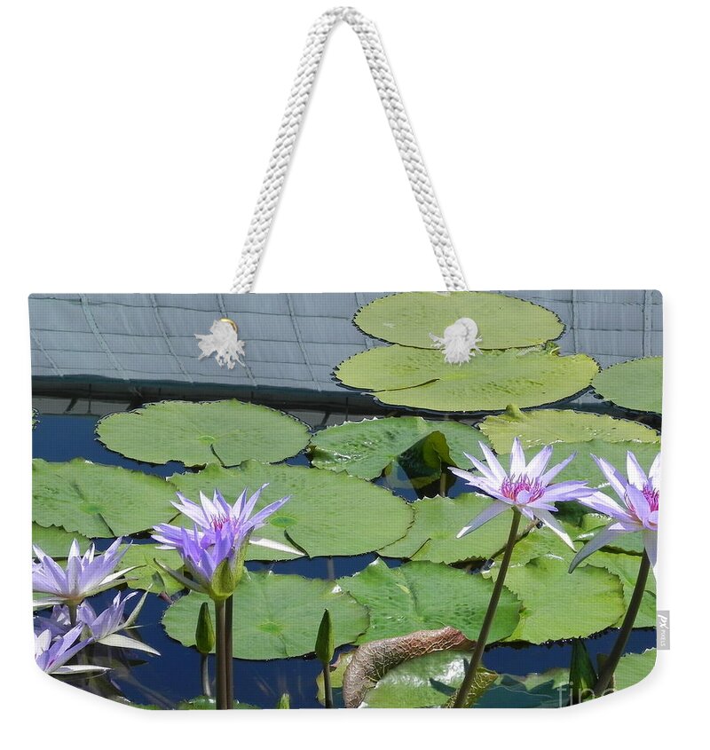 Photography Weekender Tote Bag featuring the photograph Their Own Kaleidoscope of Color by Chrisann Ellis