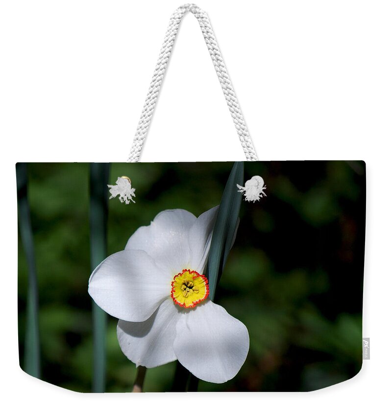 Becky Furgason Weekender Tote Bag featuring the photograph #themysteryinlovewithitself by Becky Furgason