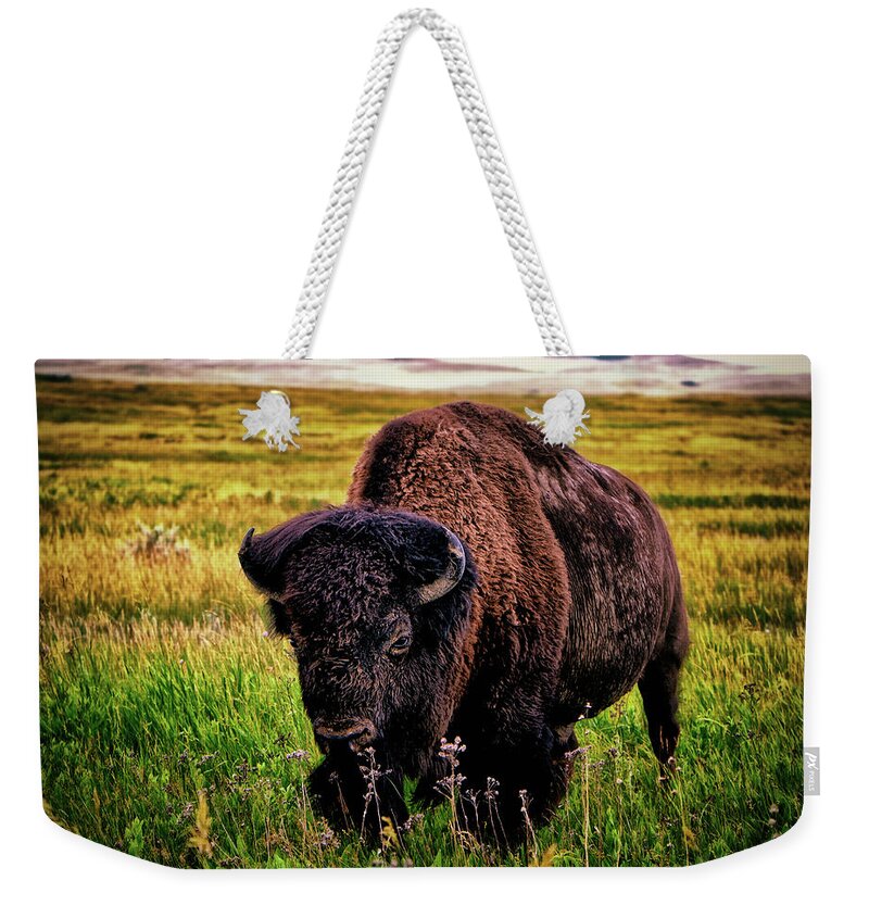 Theodore Roosevelt National Park Weekender Tote Bag featuring the photograph Theodore Roosevelt National Park 009 - Buffalo by George Bostian