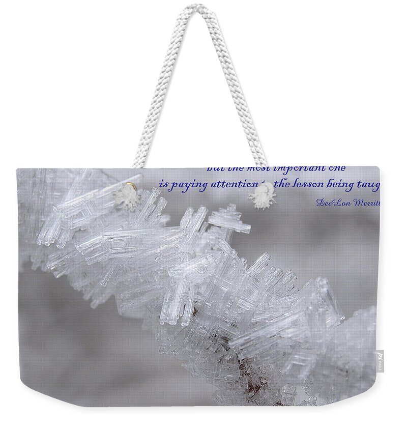 Winter Weekender Tote Bag featuring the photograph There Are Many Lessons To Learn... by DeeLon Merritt
