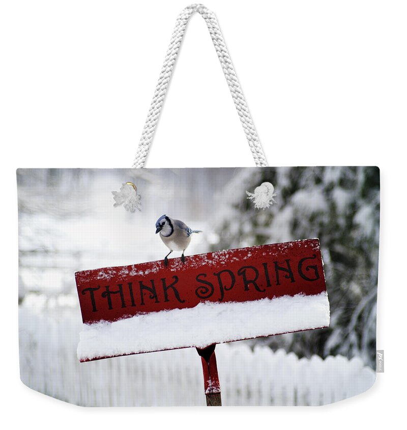 Bird Weekender Tote Bag featuring the photograph Think Spring I by Garrett Sheehan