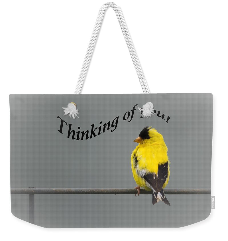 Thinking Of You Weekender Tote Bag featuring the photograph Thinking of you - American Goldfinch by Holden The Moment