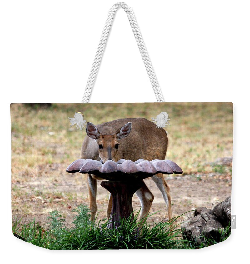 Nature Weekender Tote Bag featuring the photograph Thirsty Deer by Sheila Brown