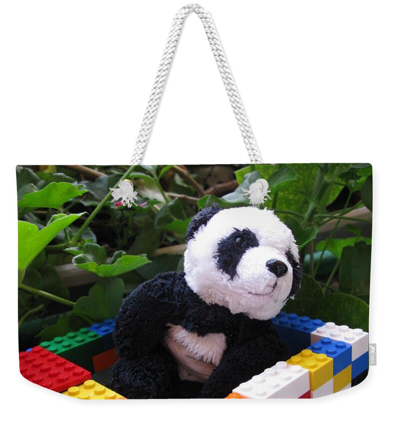 Baby Panda Weekender Tote Bag featuring the photograph This house is too small for me by Ausra Huntington nee Paulauskaite