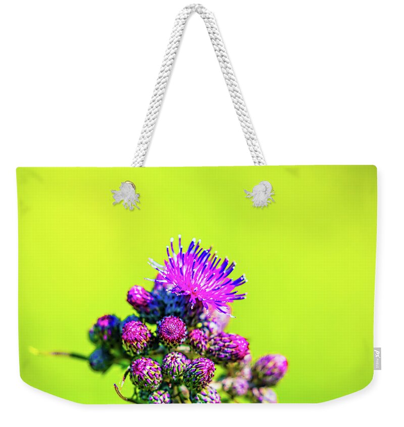 Flower Weekender Tote Bag featuring the photograph Thistle June 2016. by Leif Sohlman
