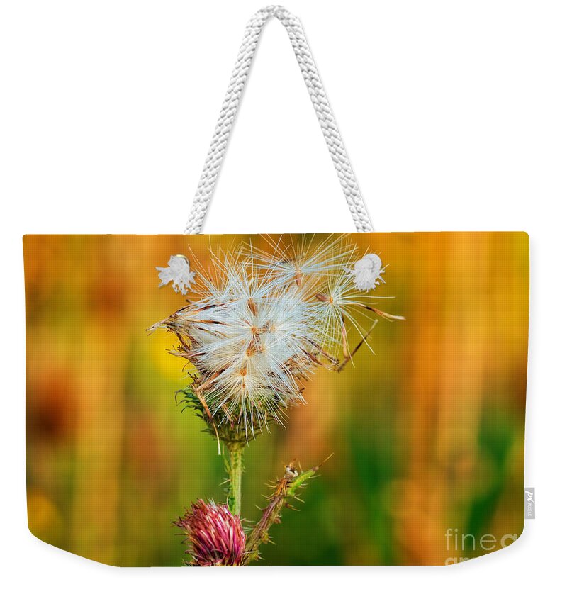 Bloom Weekender Tote Bag featuring the photograph Thistle seeds by Les Palenik